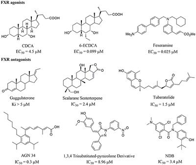 Discovery of Natural Products as Novel and Potent FXR Antagonists by Virtual Screening